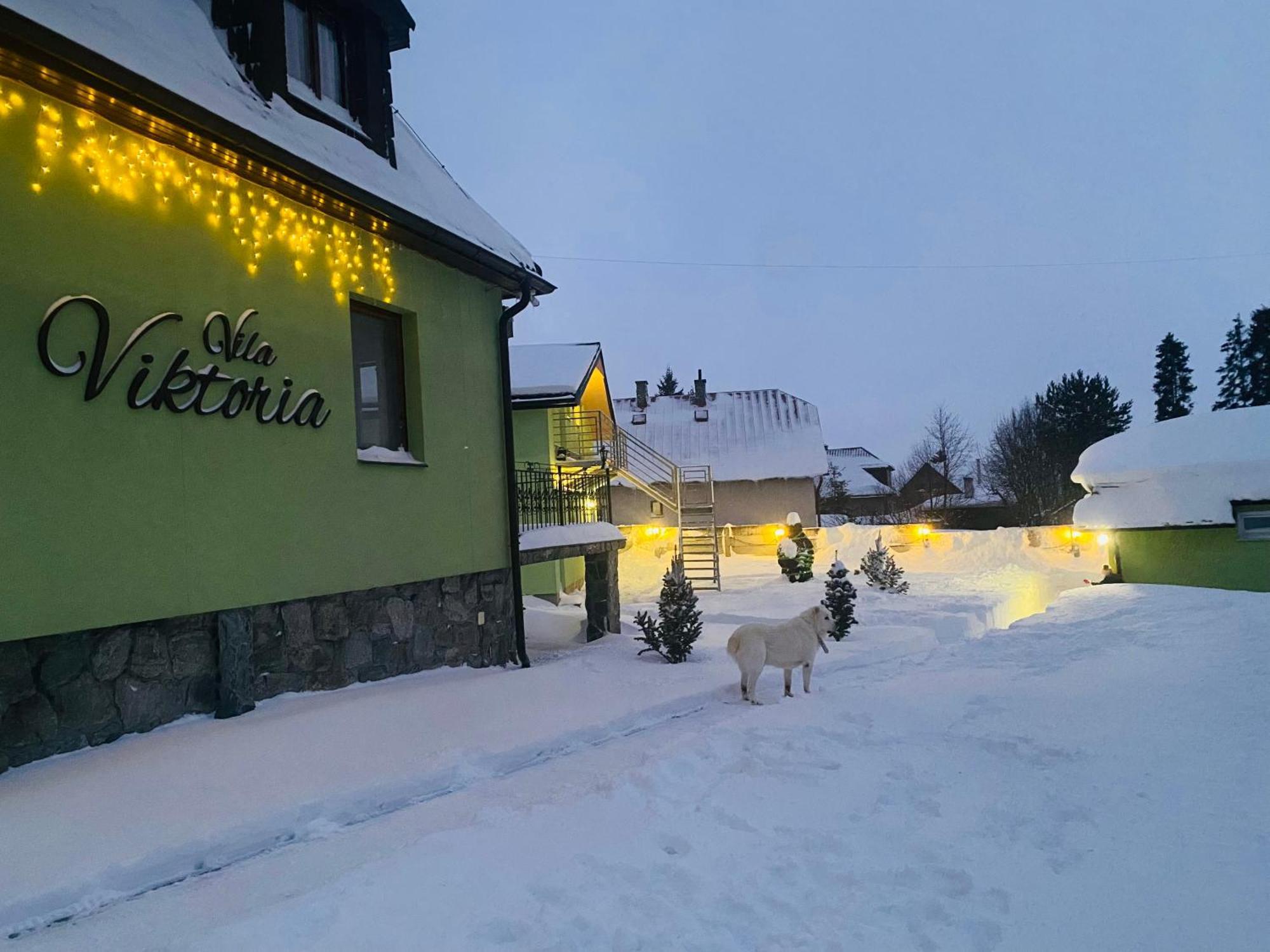 Vila Viktoria Stola Luaran gambar